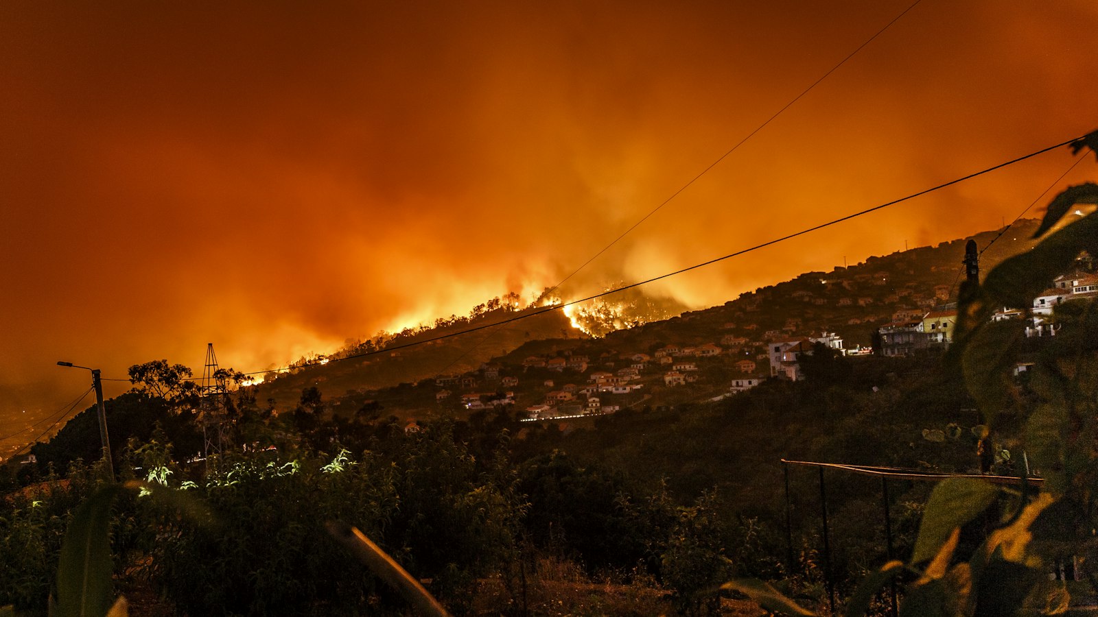 A wildfire burning across a forested hillside at night, the kind of loss a carbon credit buffer pool exists to cover