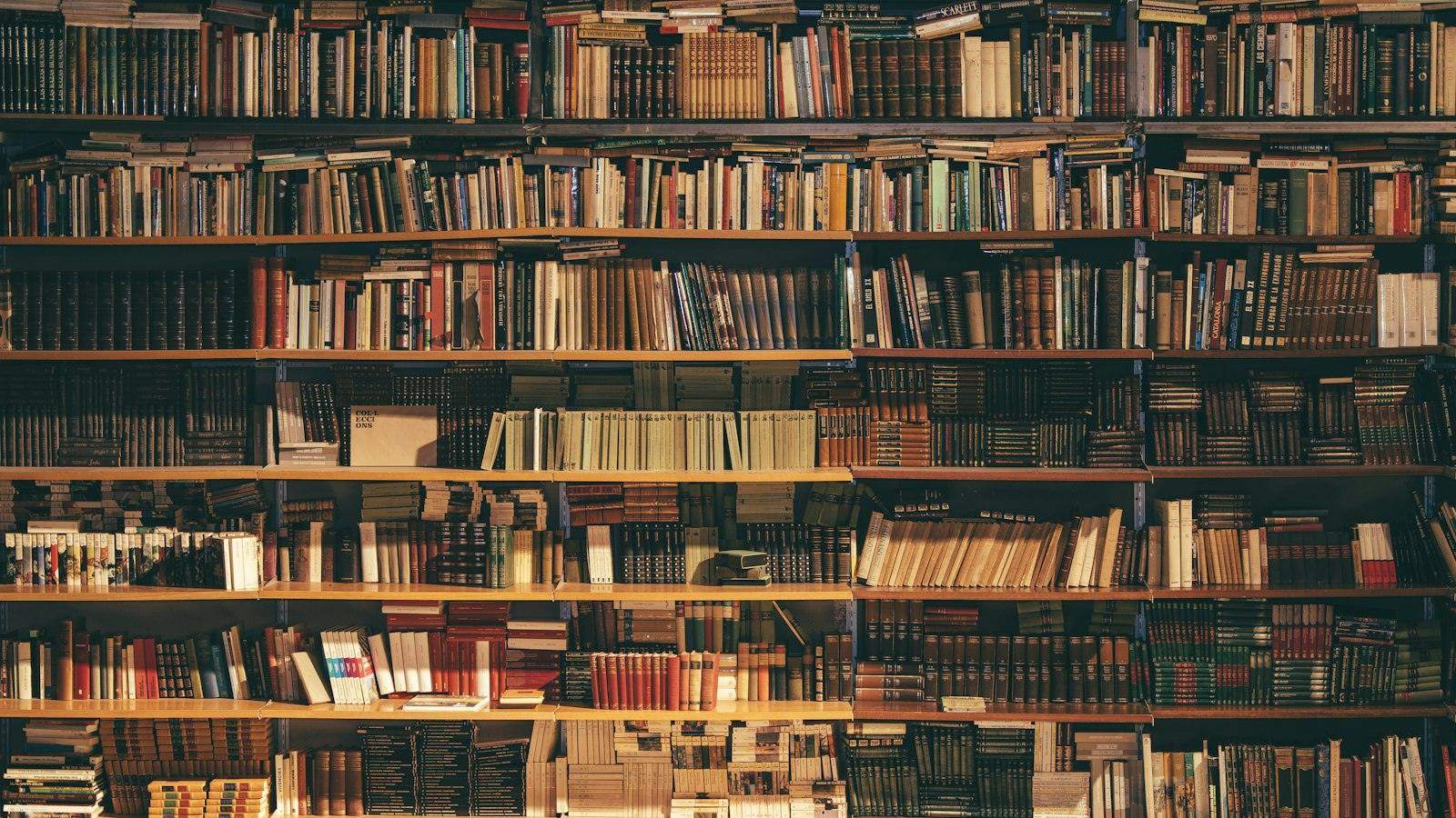 Floor to ceiling shelves of bound volumes, representing the permanent record a carbon credit registry keeps of every retirement